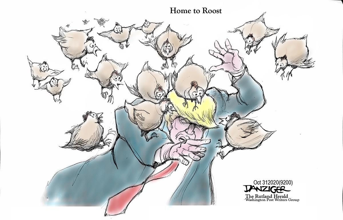 Danziger Draws