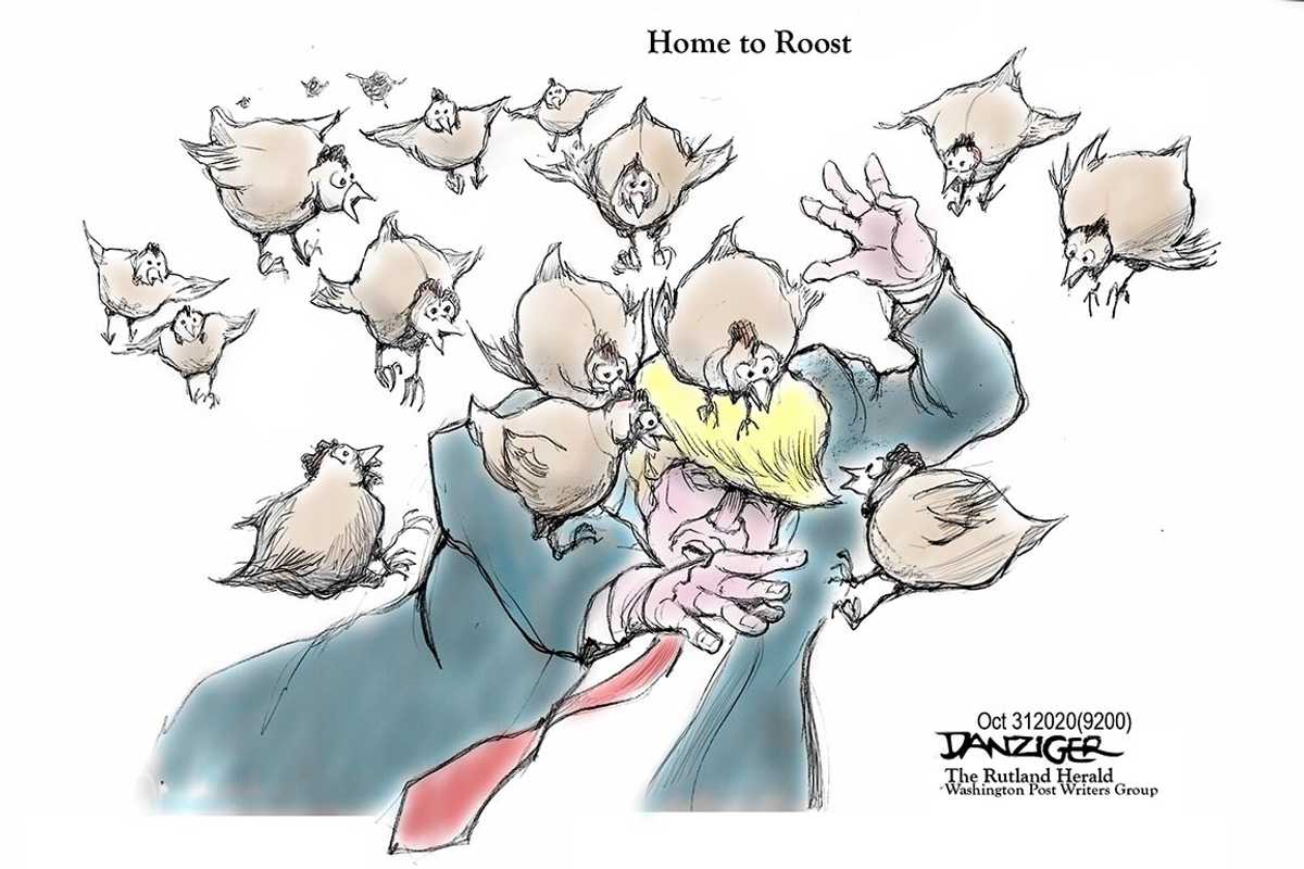 Danziger Draws