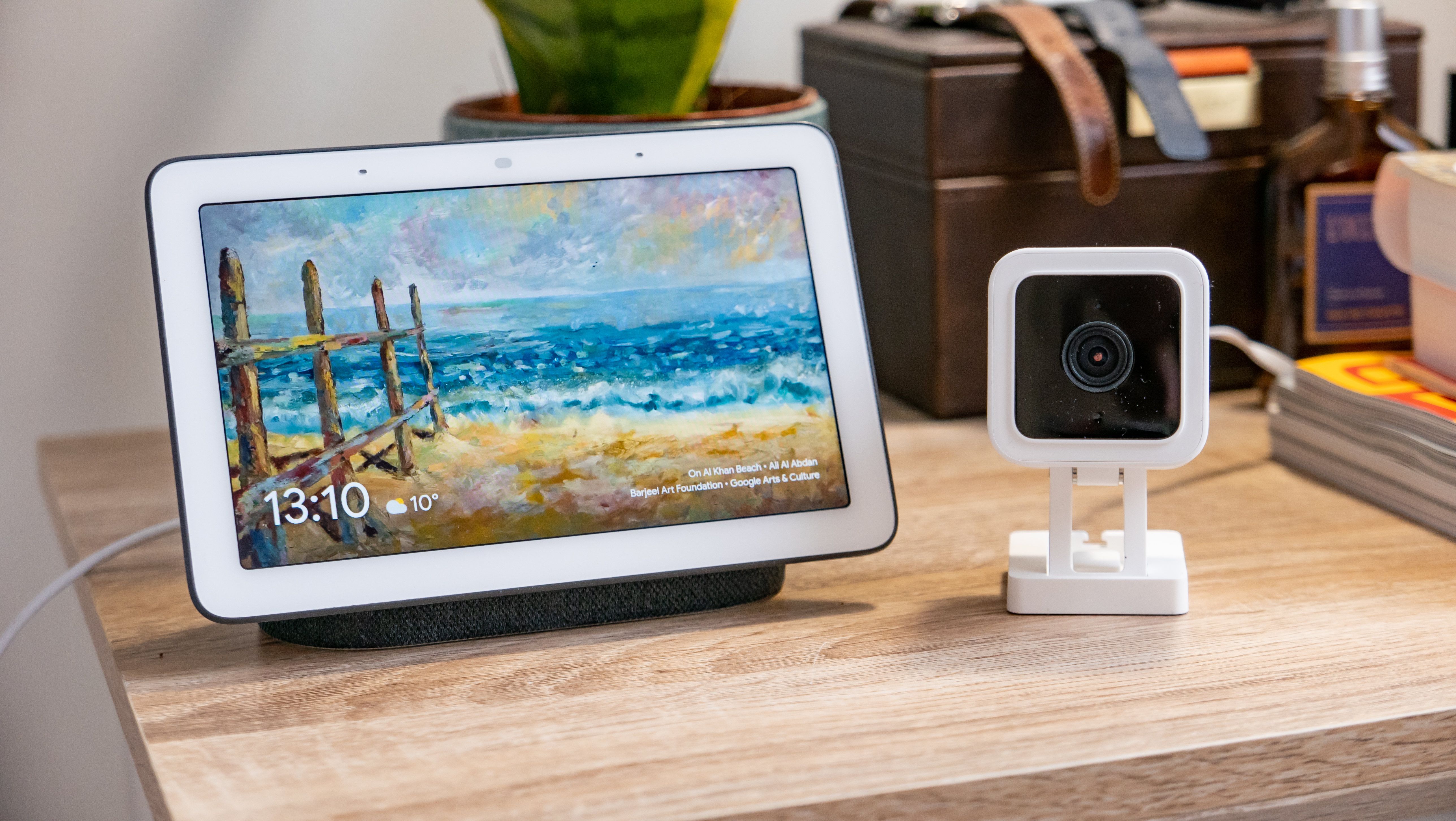 does wyze work with google home hub