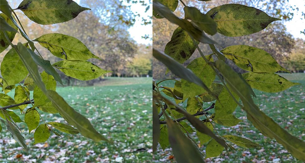Photos taken by the iPhone 12 (left) and Pixel 5 (right)