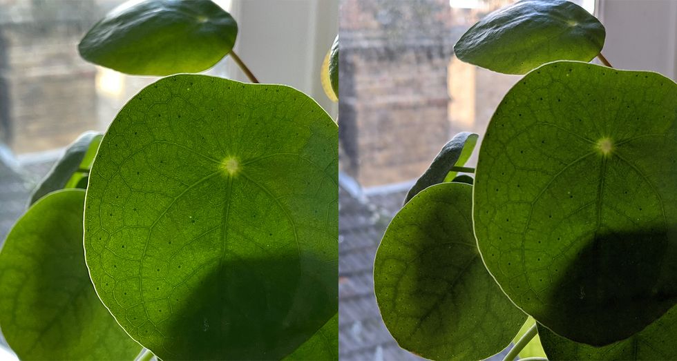 Photos taken by the iPhone 12 (left) and Pixel 5 (right)