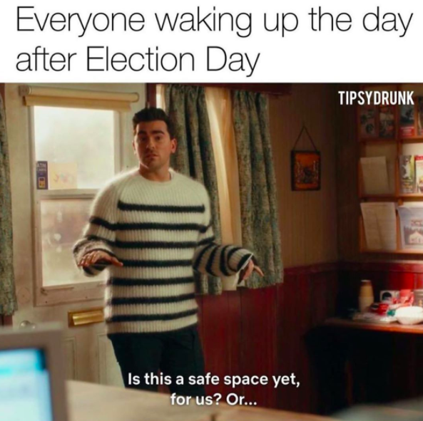 25 Election Memes To Laugh At While Votes Are Being Counted