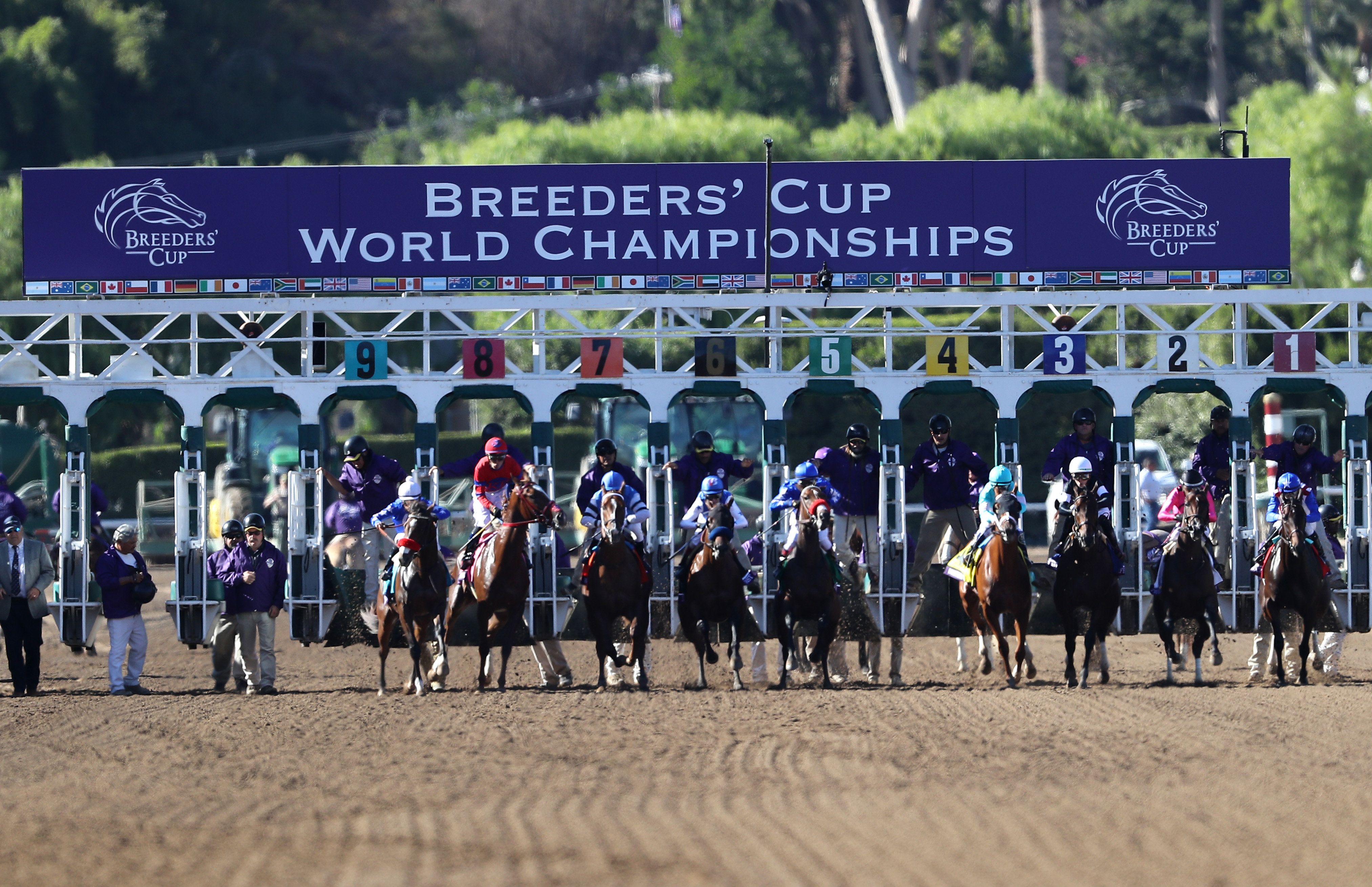 Analysis and plays for Saturday's Breeders' Cup races at Keeneland