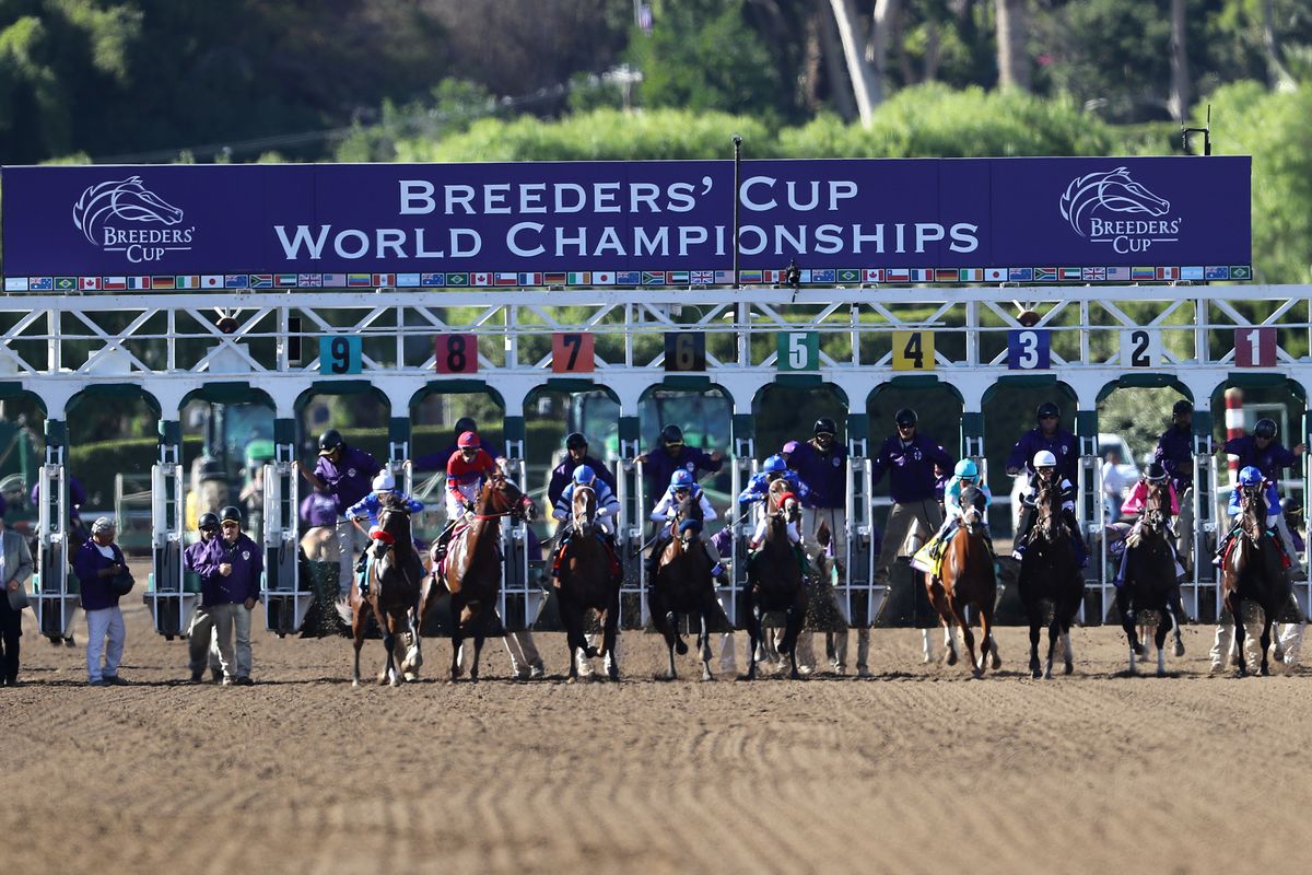Analysis and plays for Saturday's Breeders' Cup races at Keeneland
