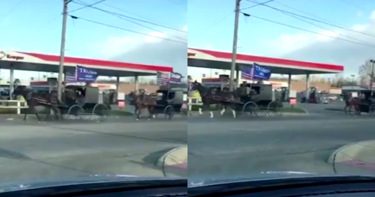 Viral Video Appears To Show Amish Trump Supporters Staging A 'Horse Rally' Ahead Of Election