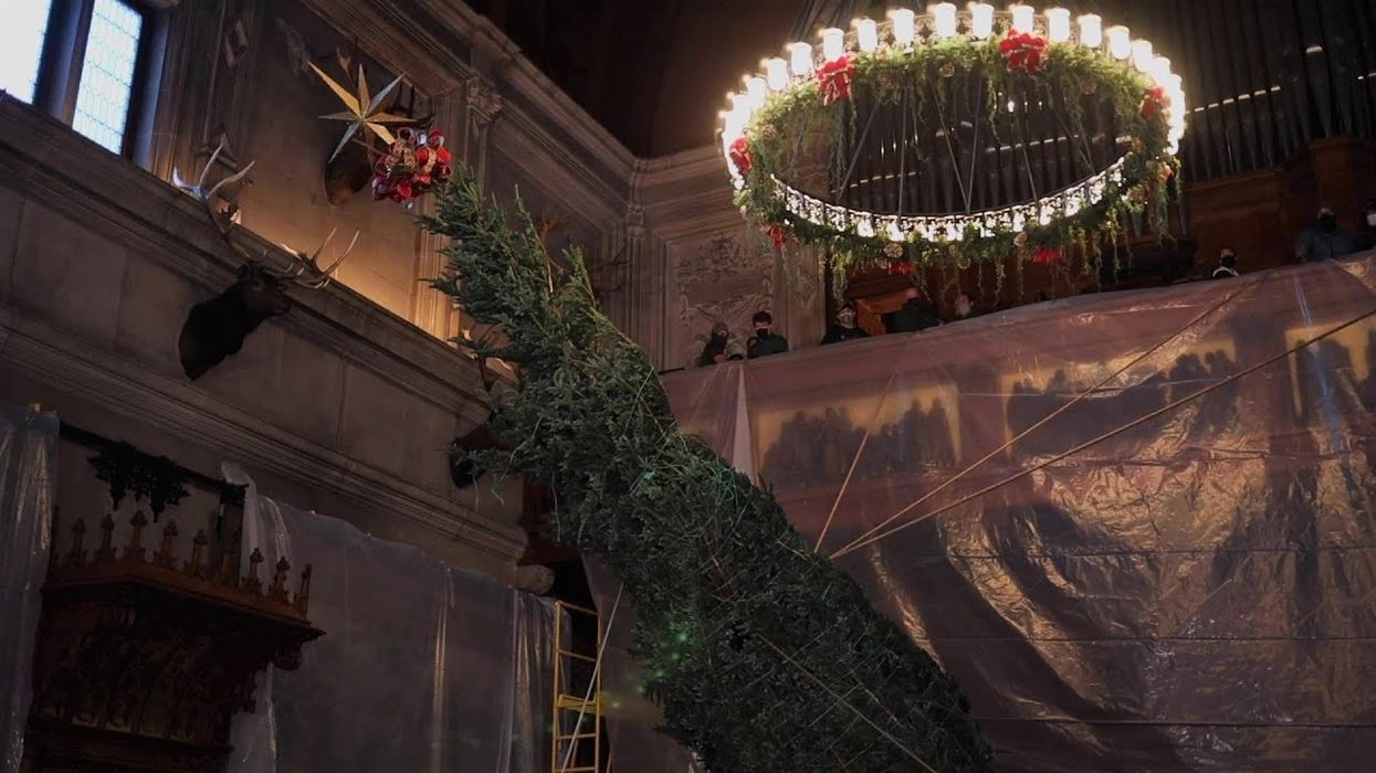 Watch Biltmore's iconic Christmas tree-raising of a 35-foot Fraser fir