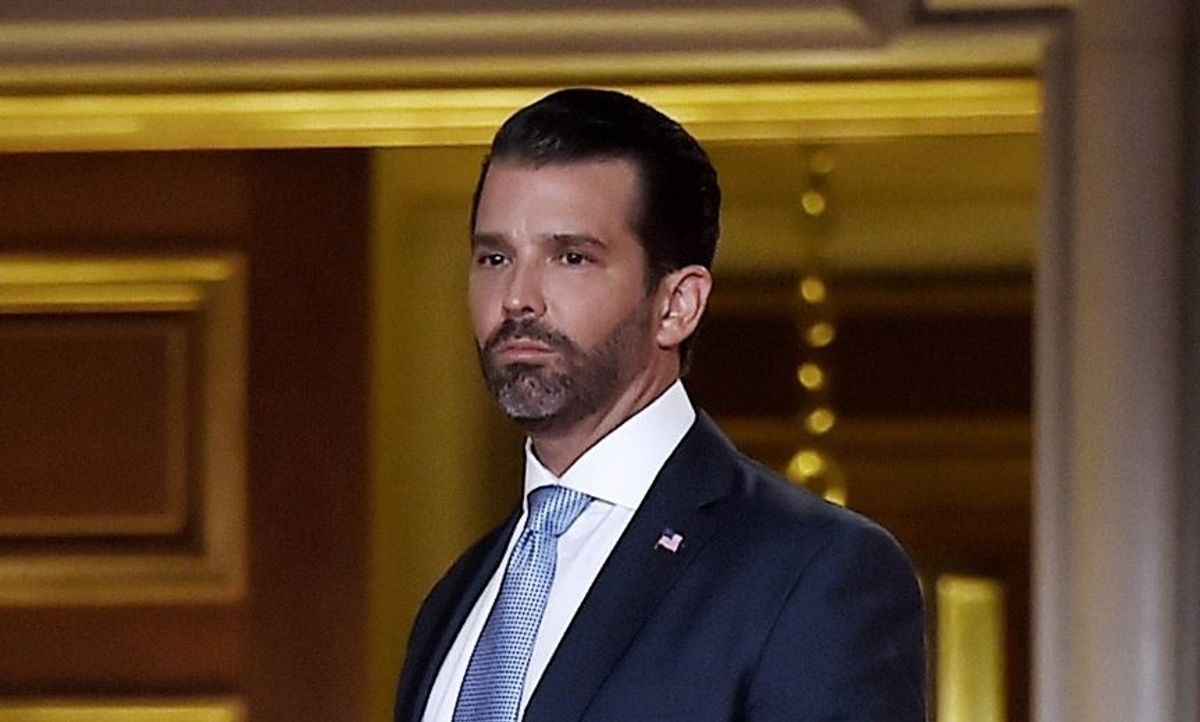 Don Jr. Is Getting Epically Dragged for Urging His Father to 'Go to Total War Over This Election'