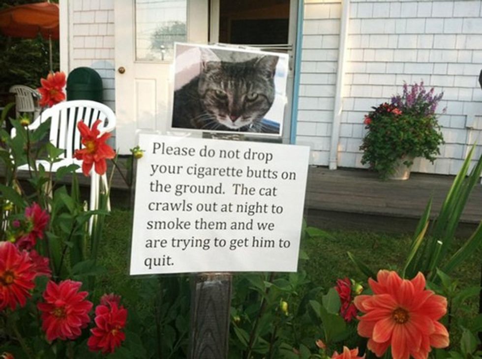 29 of the Funniest Yard Signs You've EVER Seen | 22 Words