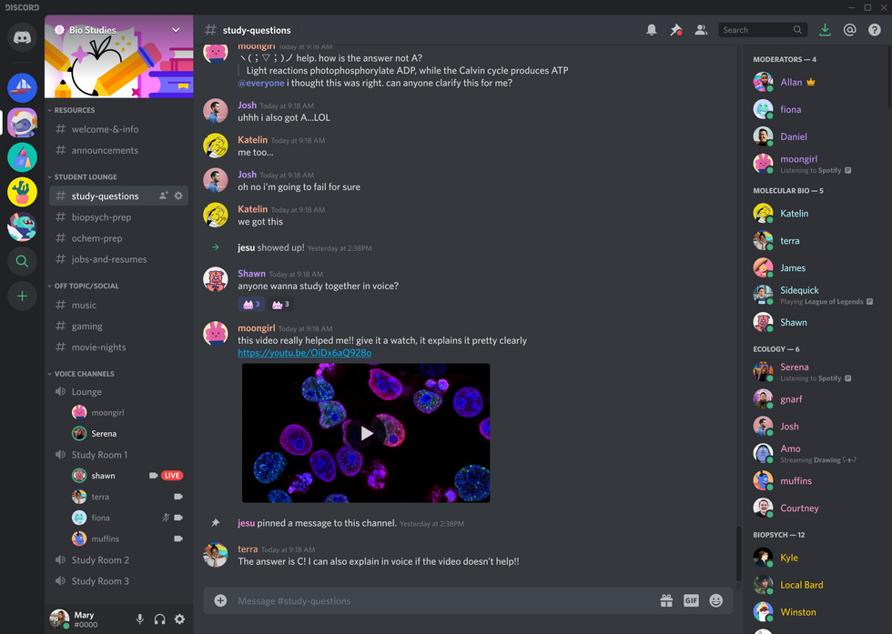 matching-usernames-for-discord-top-15-lol-duo-names-lmao-warning