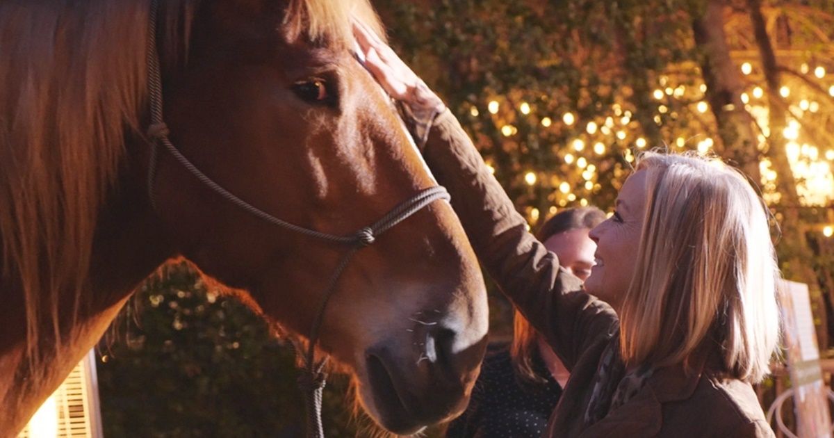 Sixty-thousand American horses are slaughtered every year. Bo Derek shows us how to make it stop.