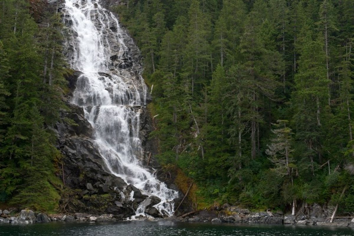 Trump admin removes protections from Tongass National Forest, opening it to clearcutting