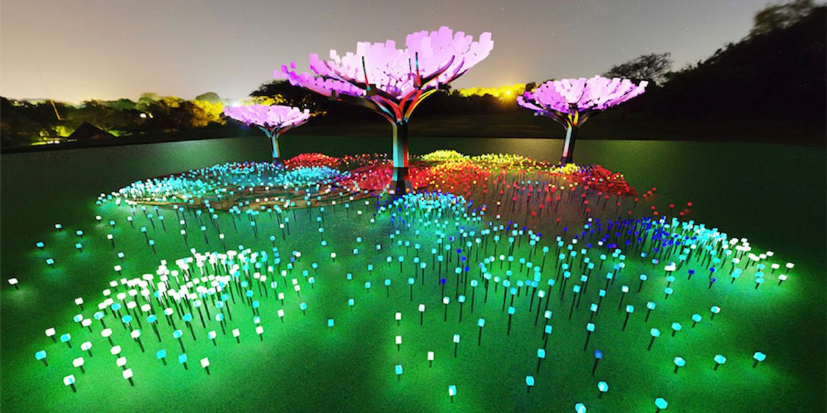 An enchanted LED forest is sprouting in Golden Gate Park + more good