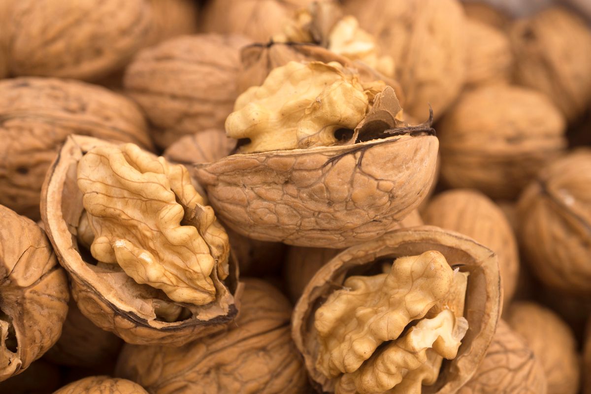 Le noci miracolose del Manzoni, uomo di fede e amante degli alberi