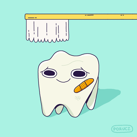 illustrated tooth begin brushed