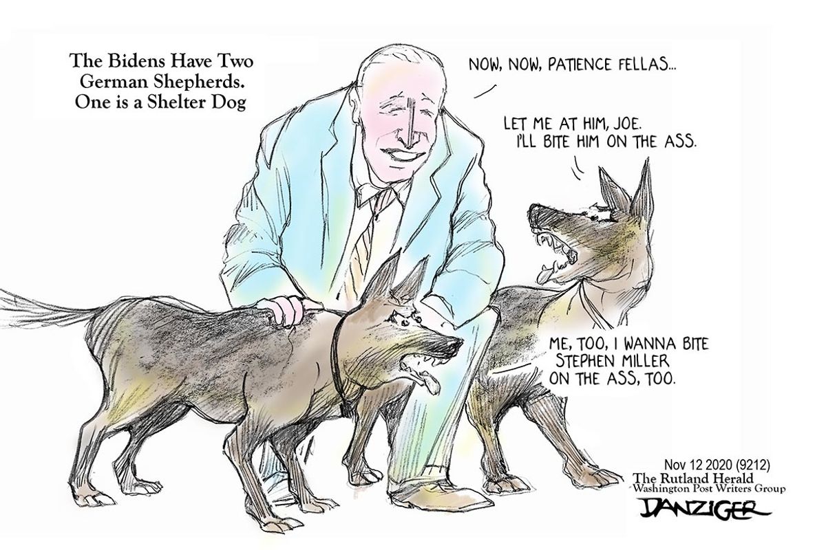 Danziger Draws