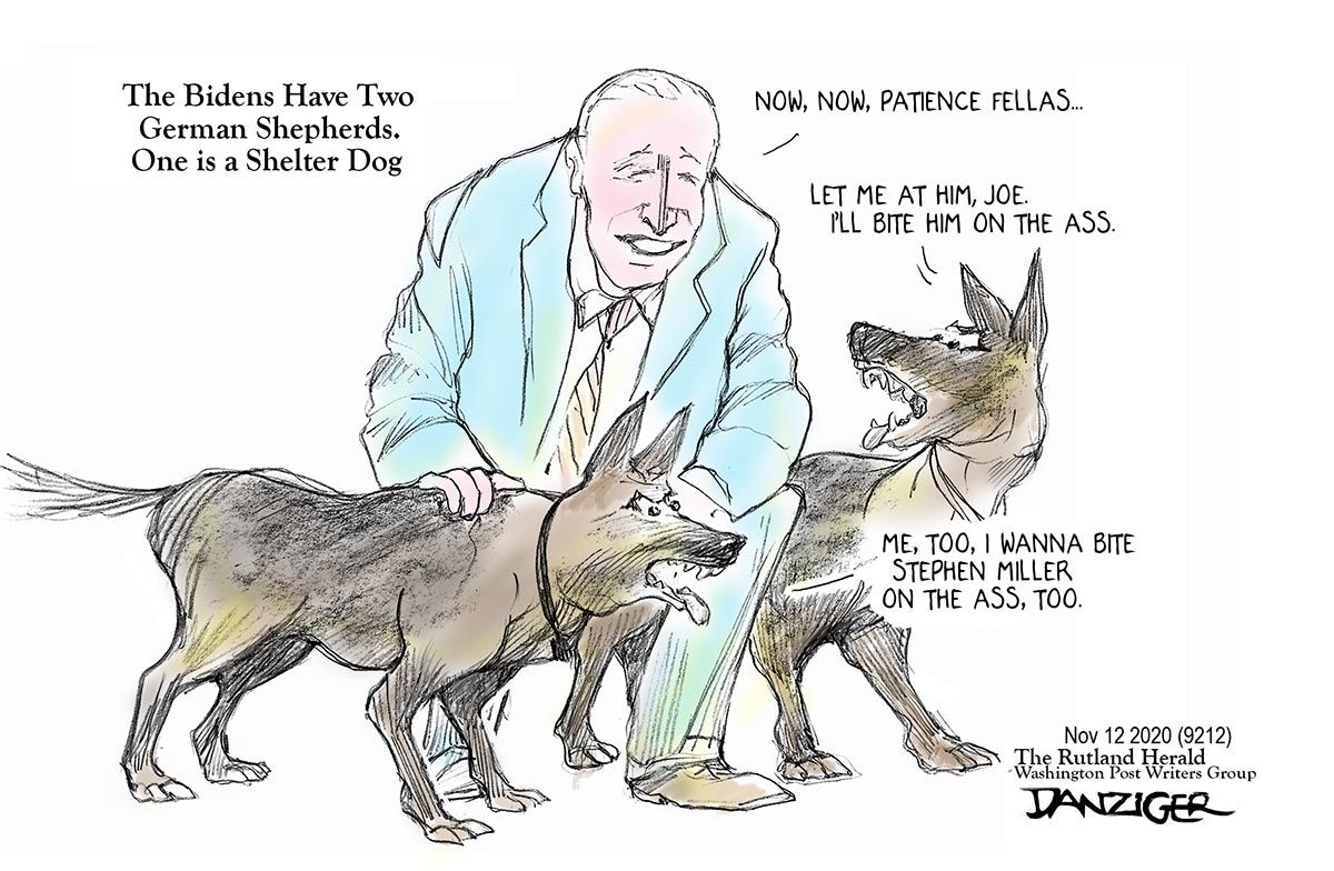 Danziger Draws