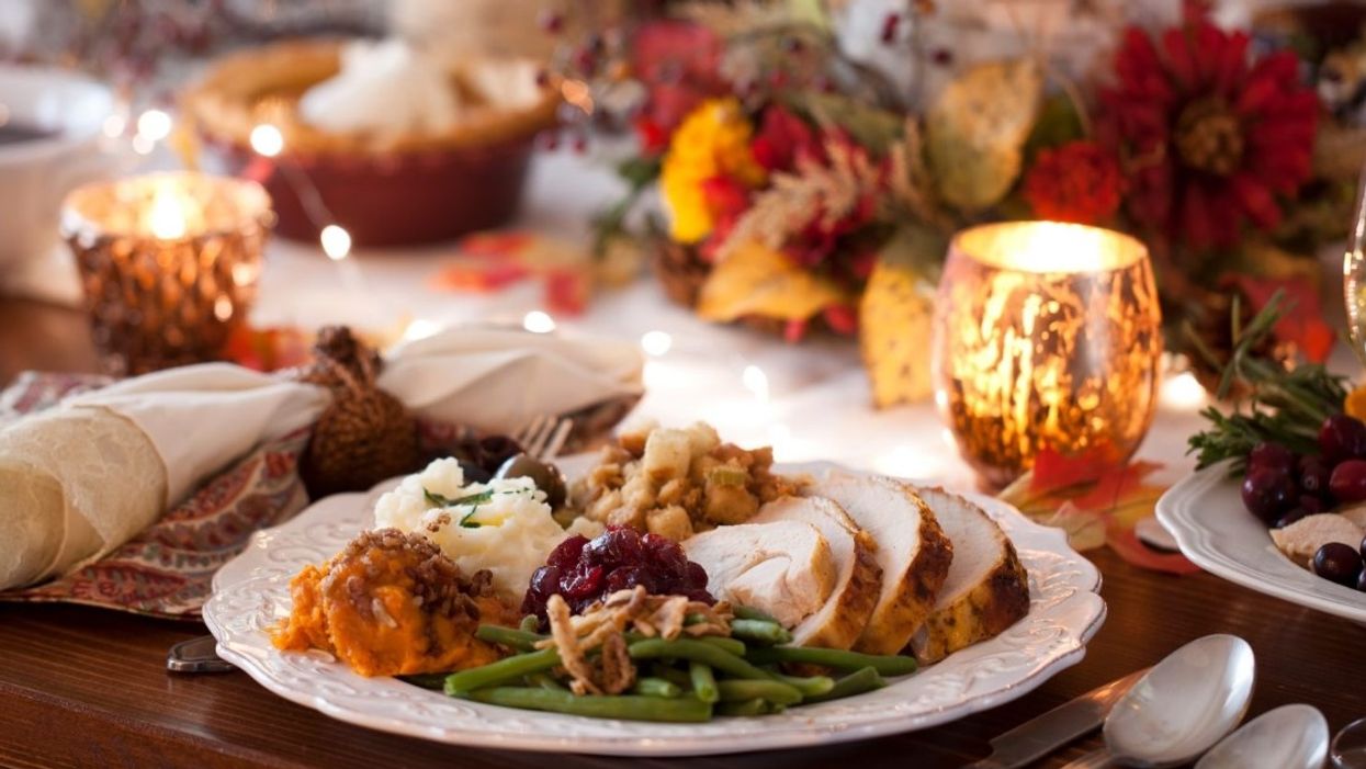 Impeccable Thanksgiving Plate of Turkey and Sides