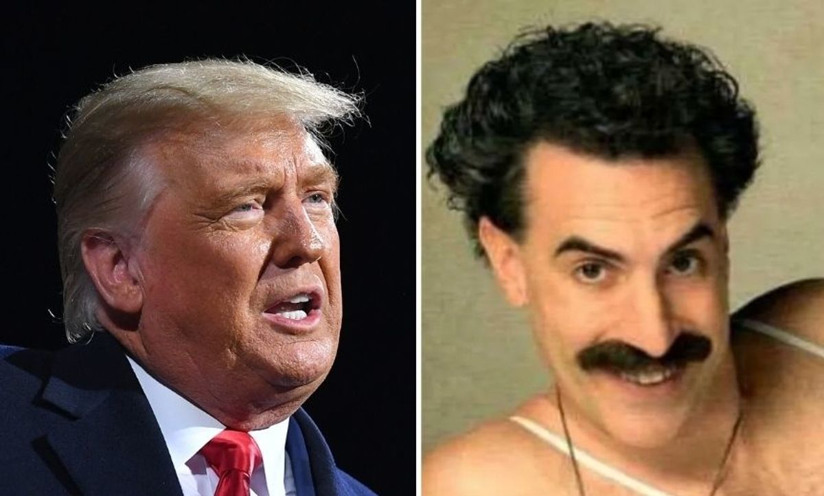 Sacha Baron Cohen Perfectly Trolls Trump After He Claimed Millions of His Votes Were Deleted