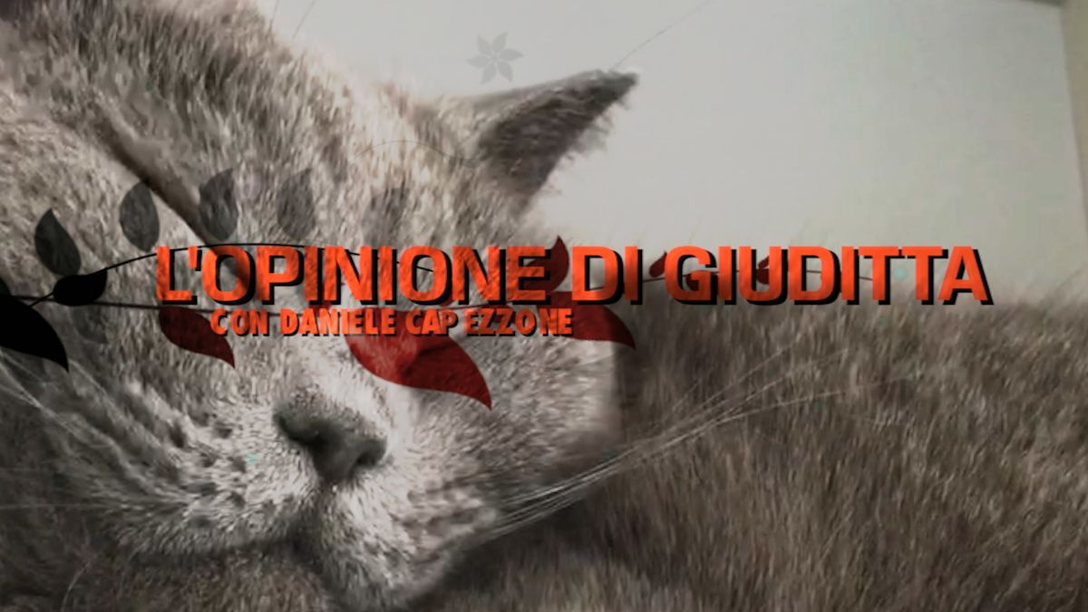 I grillini? Sembrano l'Ncd di Alfano allargato