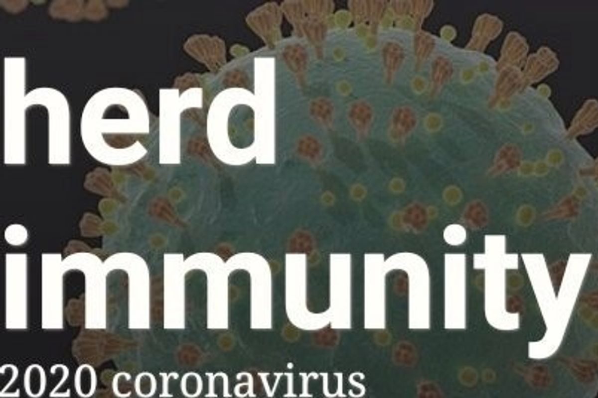 herd immunity