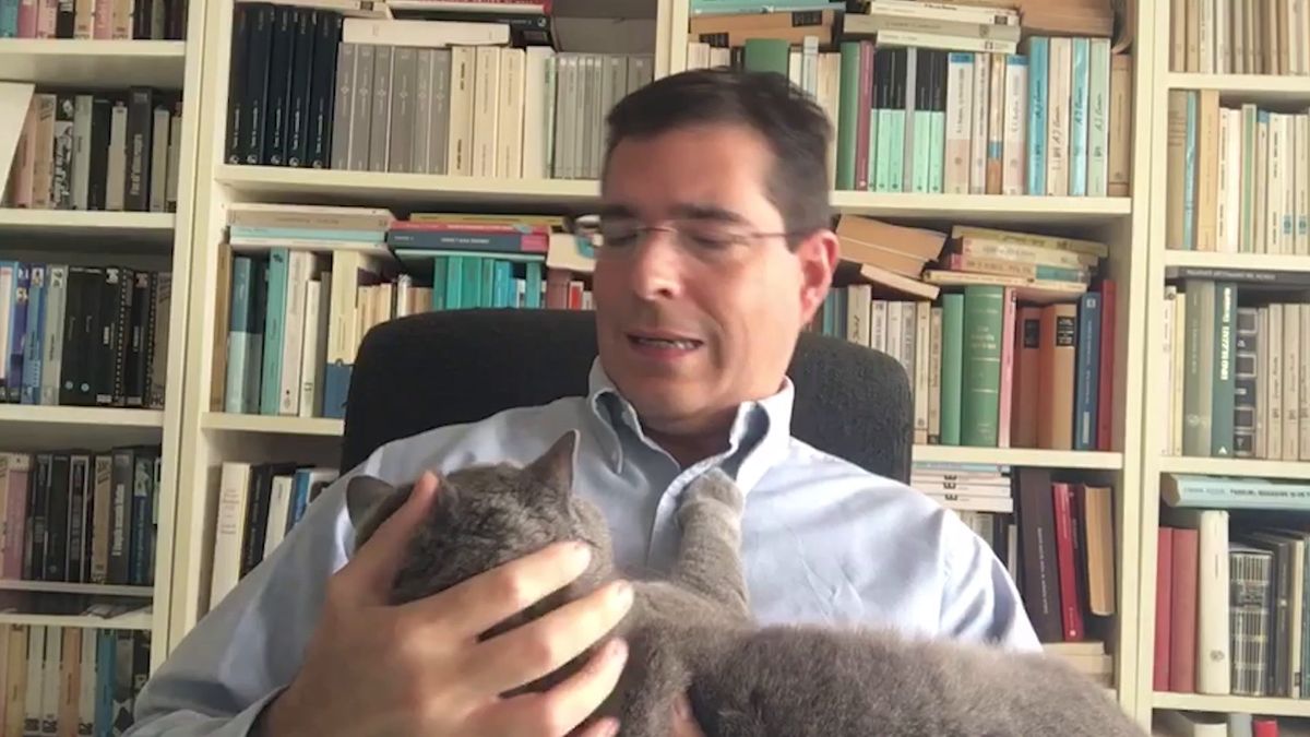 I grillini? Sembrano l'Ncd di Alfano allargato