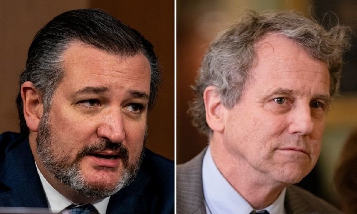 Dem Senator Completely Owns Ted Cruz After Cruz Called Him an 'Ass' for Demanding Mask Wearing on the Senate Floor