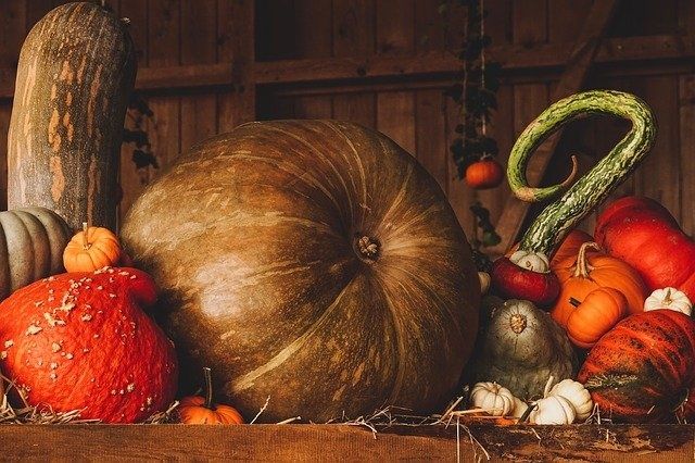 On Thanksgiving, Celebrate Agriculture — Not Agribusiness