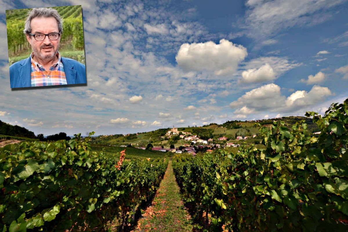 Il grido di dolore dell’Oltrepò: «Questa politica uccide le vigne»