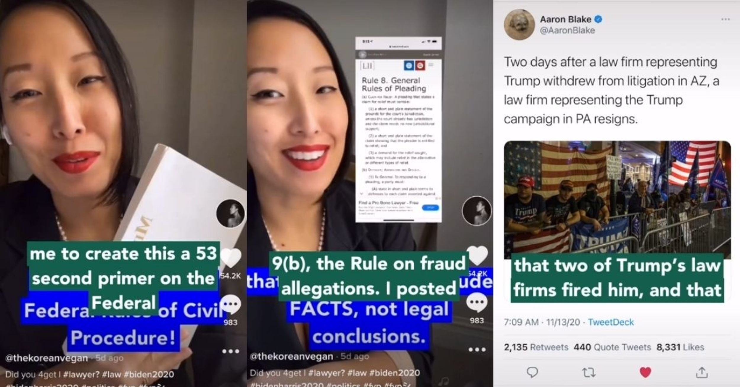 Attorney Explains How Pro-Trump Trolls On Her Instagram May Have Led To Trump Being Fired By His Own Lawyers