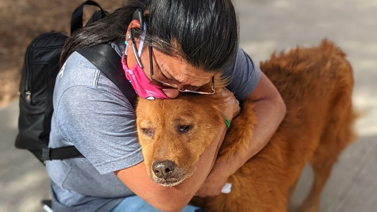 Texas dog picked up as stray shares sweet reunion with owner seven years after going missing
