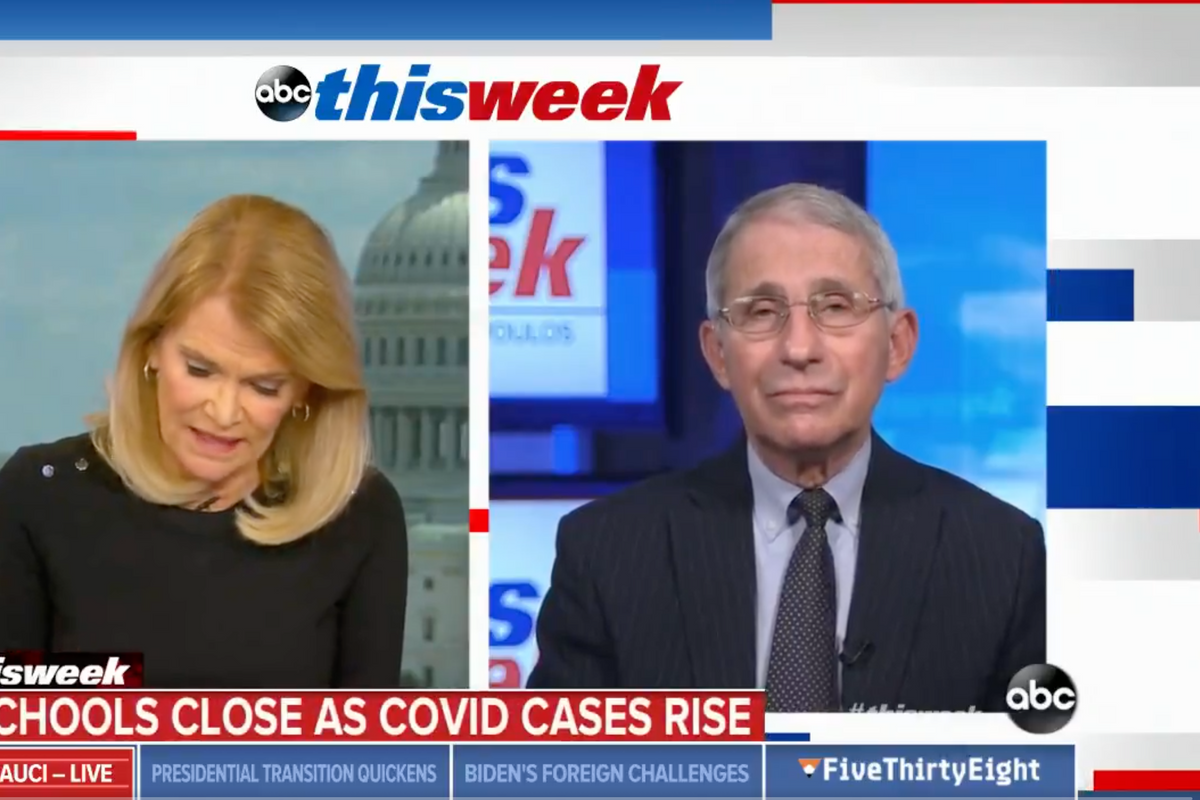 Rand Paul Wants Dr. Fauci To Apologize For Being So Goddamn Right All The Time