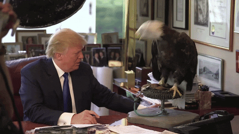 Trump Getting Ready To Sign A Big Old Stack Of Get Out Of Jail Free Cards