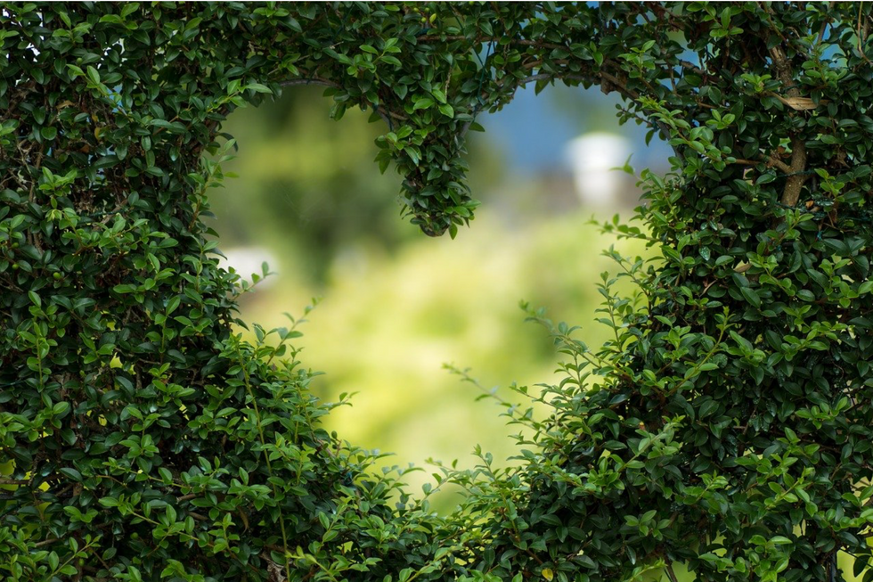 An Odyssey Poem: Trials of the Heart