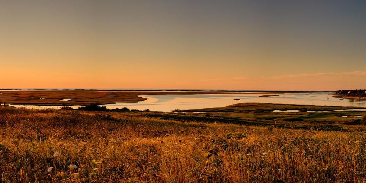 Nauset Marsh, Cape Cod