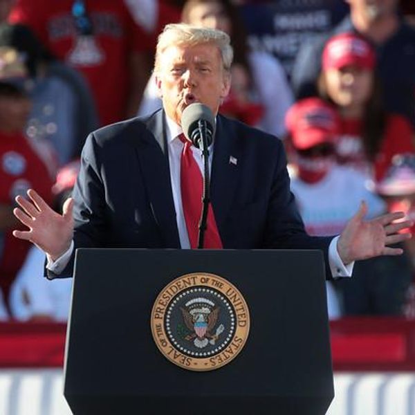 President Elect Donald Trump