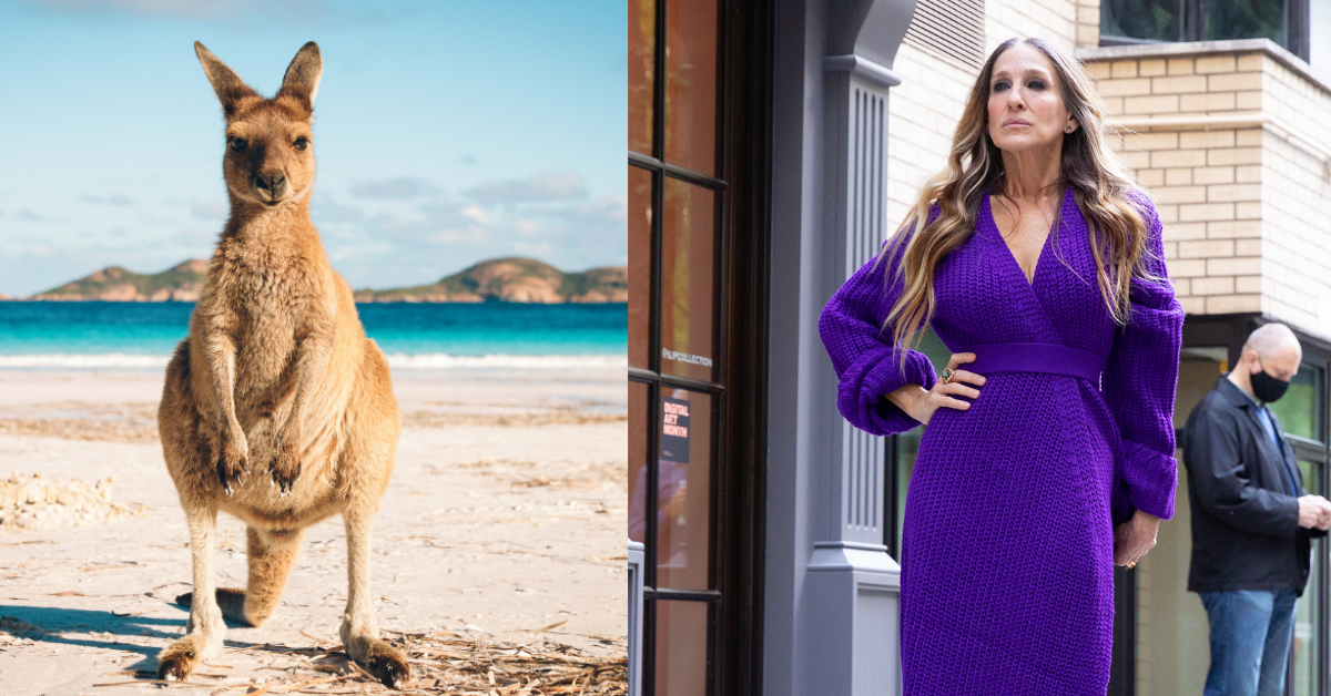 Jogger Claims A Kangaroo Attacked Her Because She Was Wearing Sarah Jessica Parker's Perfume