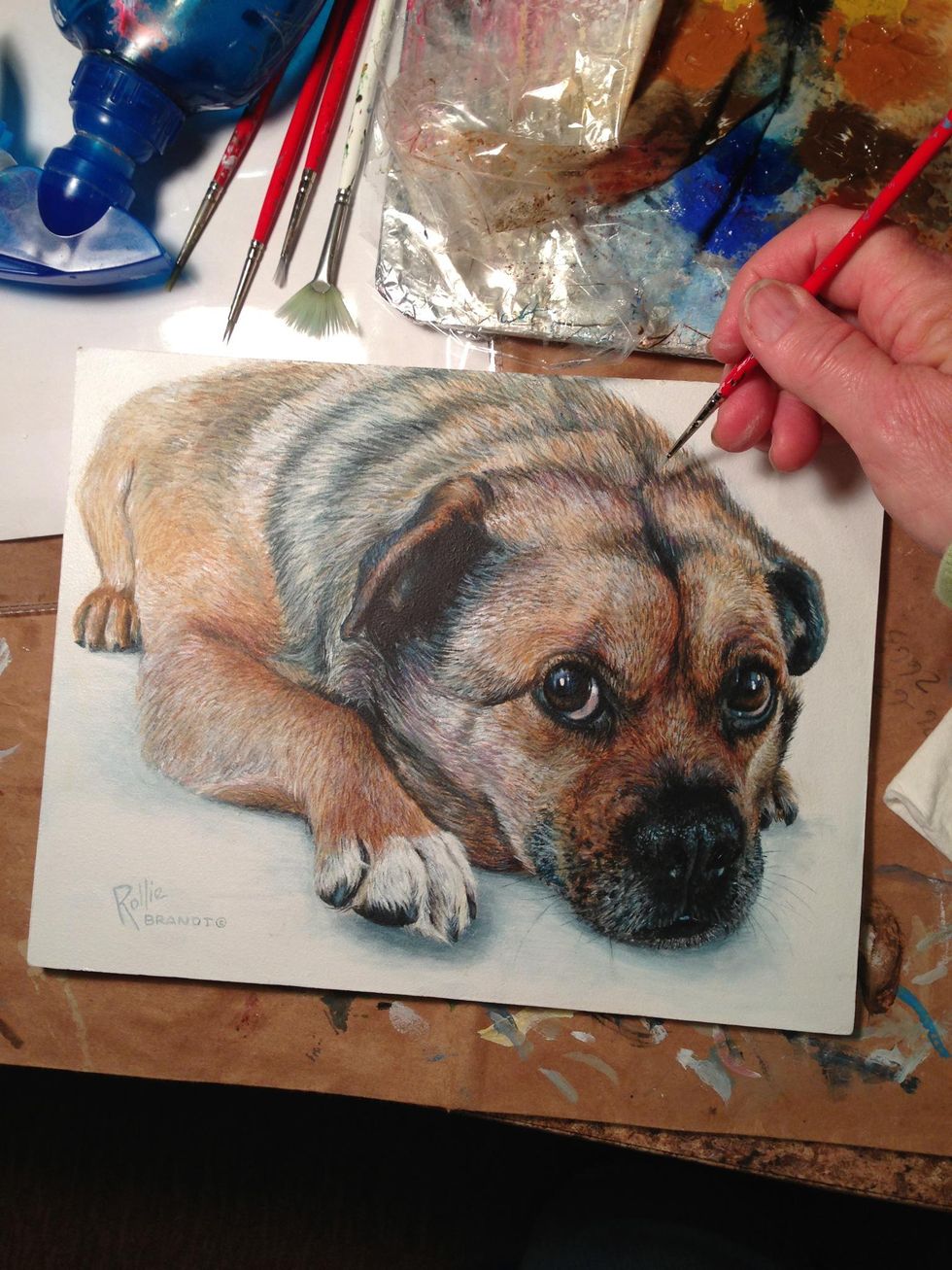 How to paint a dog portrait B+C Guides