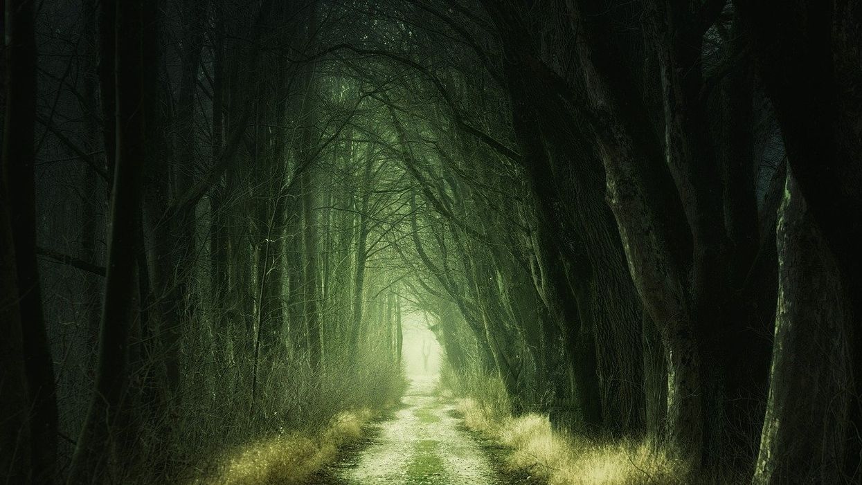 People Share The Scariest True Stories They've Ever Heard
