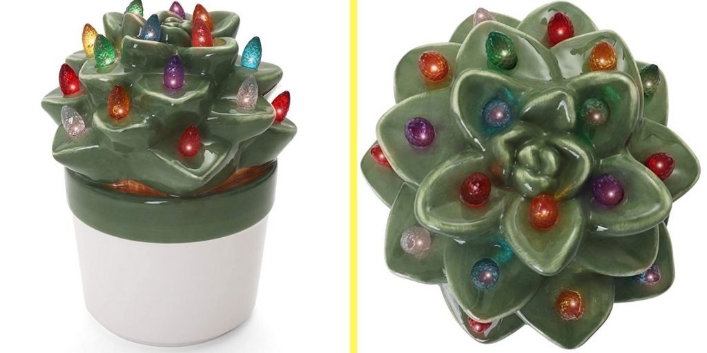 You can buy a ceramic Christmas succulent to get you in the holiday mood