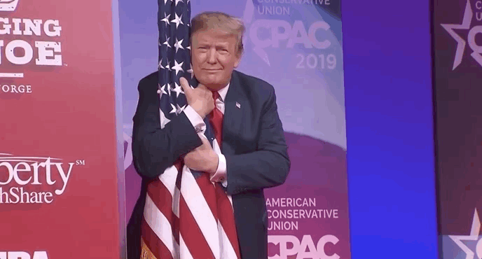 trump flag
