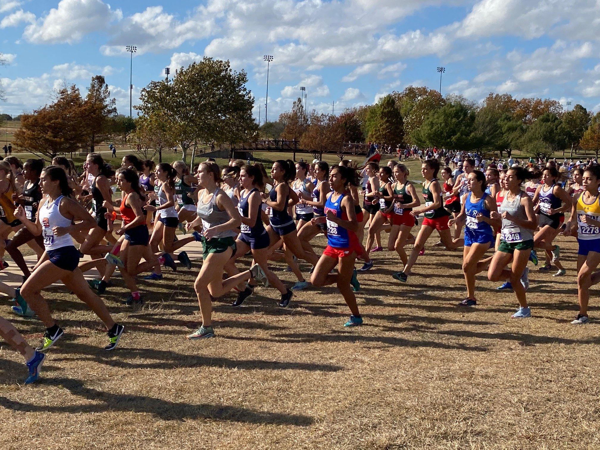 Seasons End in Remarkable Ways for 2A/4A/6A Teams!