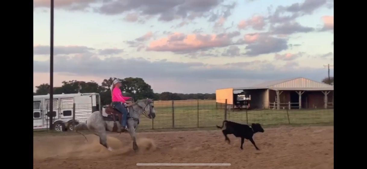 Yorktown Athlete Does it All!