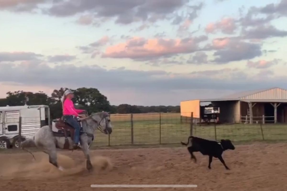 Yorktown Athlete Does it All!