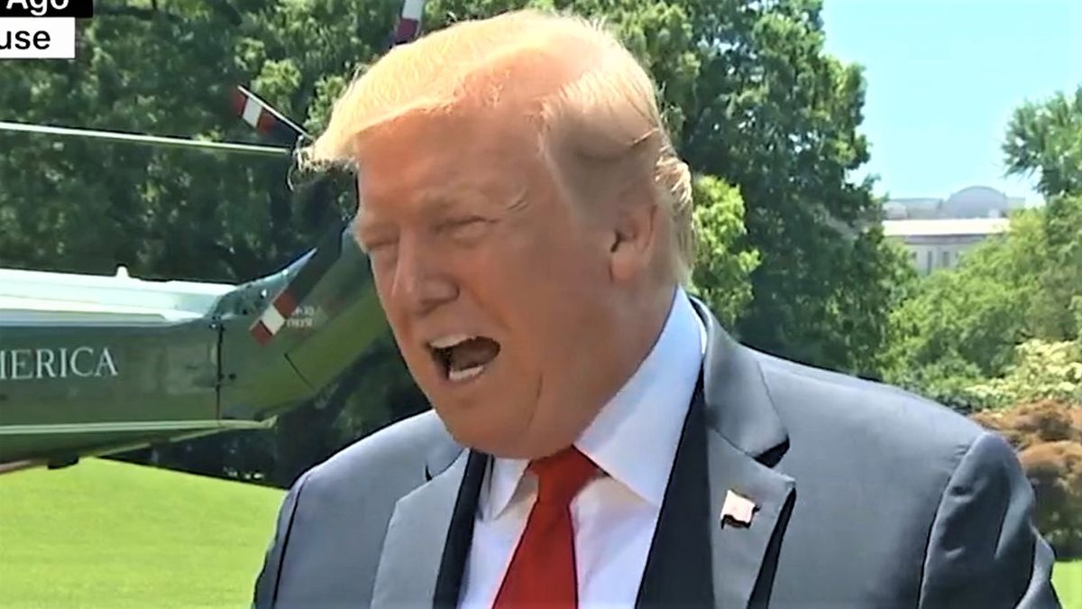 Trump is 'petrified of drowning' in criminal tax probes: biographer