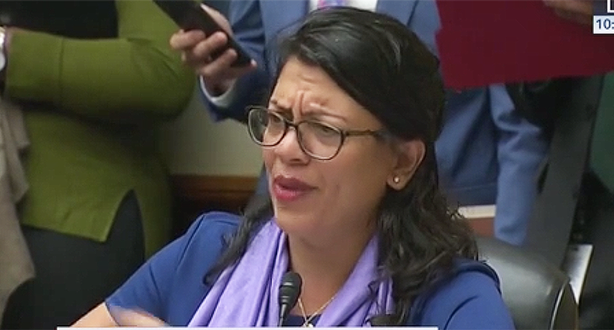 After Biden unveils COVID-19 relief plan, Rashida Tlaib doubles down on demand for $2,000 monthly payments