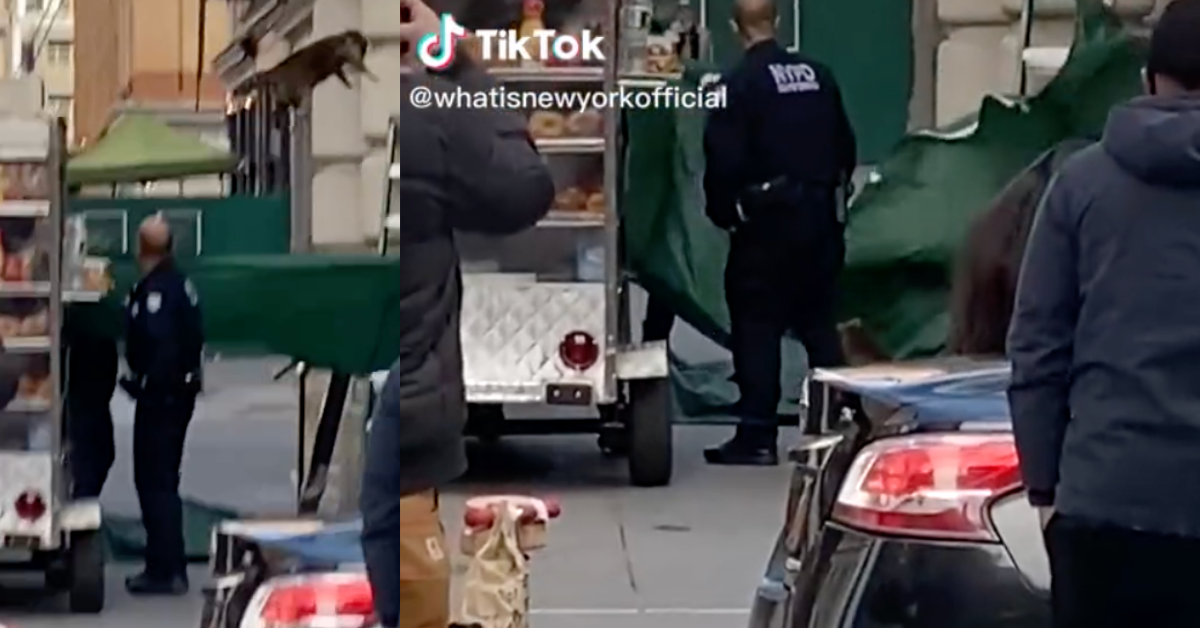 The NYPD Is Getting Roasted After They Tried To Rescue A Raccoon—And Totally Biffed It