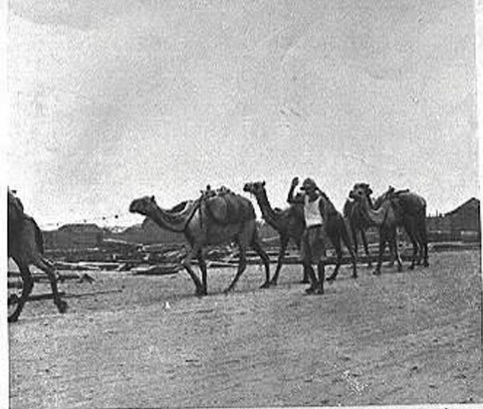 teleferica massaua asmara