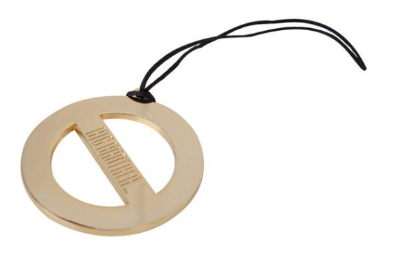 Big Brother Veto Necklace