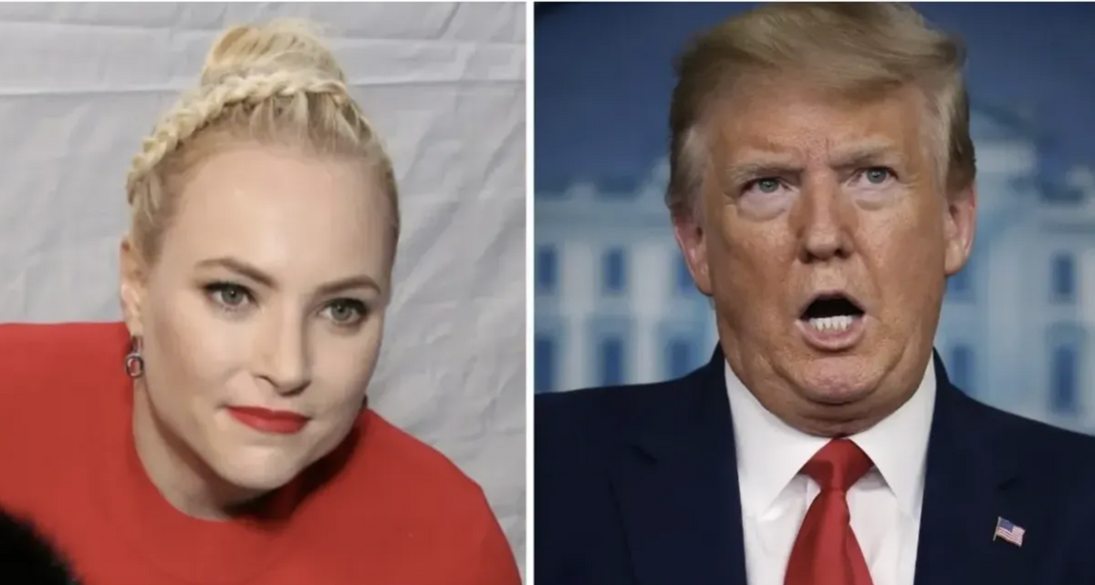 Meghan McCain Destroys Trump After He Tried to Come for John McCain on Twitter Yet Again
