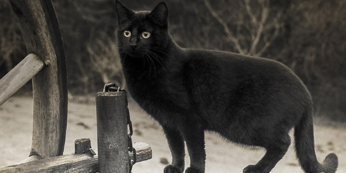 People Who Aren't Superstitious Explain Which Things Still Really Creep Them Out